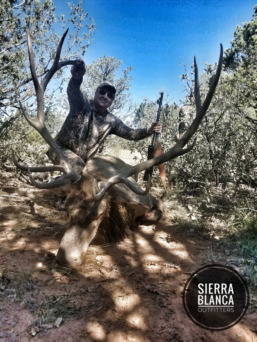 Trophy Elk Photos NM